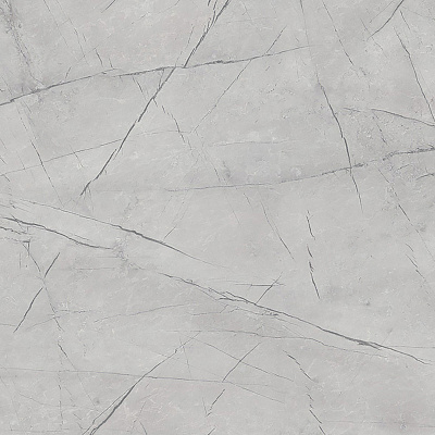 Каспий серый 735