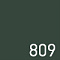 Пихта №809